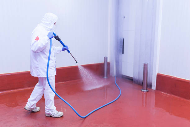 Best Window and Screen Pressure Cleaning in Mount Pleasant, WI