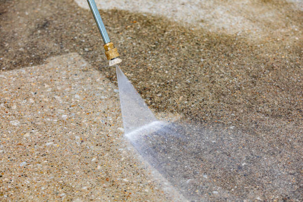 Best Roof Cleaning and Mildew Removal in Mount Pleasant, WI